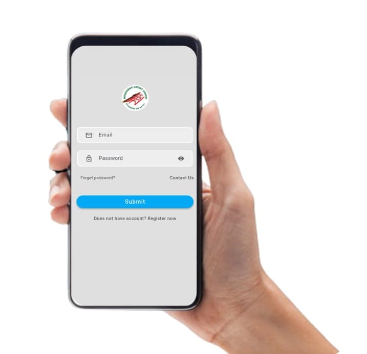 Bank mobile app interface